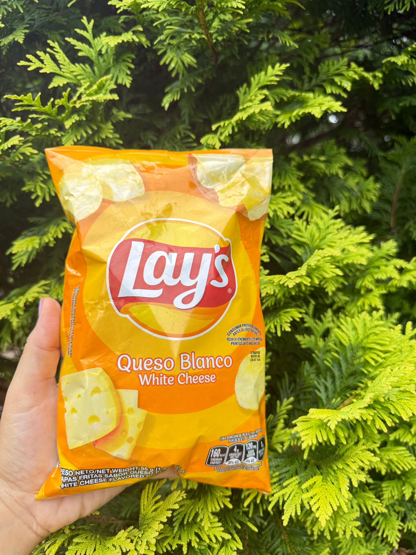 Papita De Queso Blanco