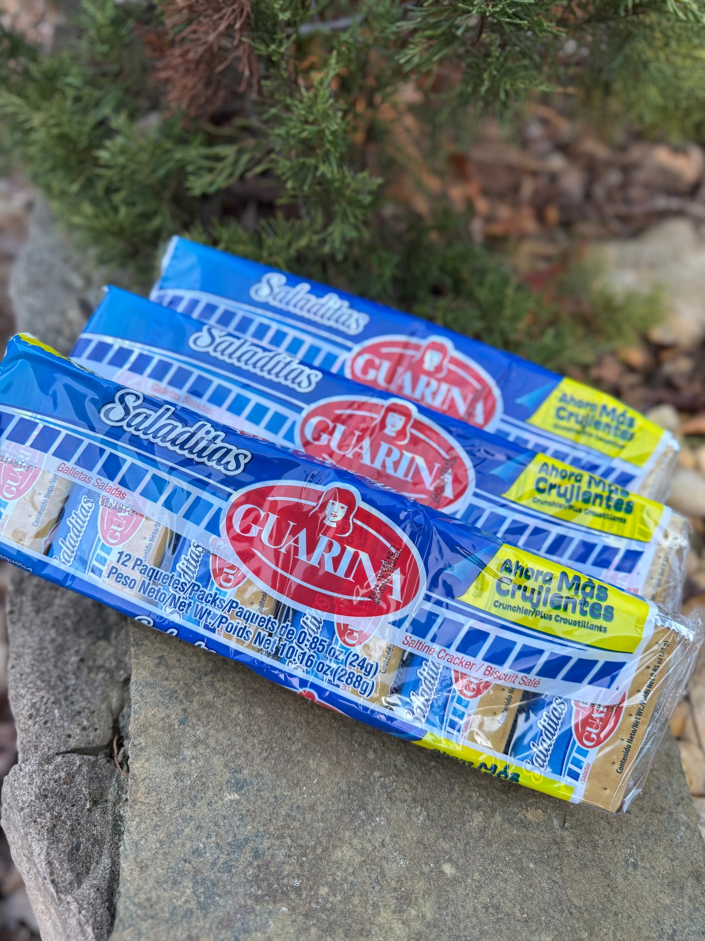 Galletica Guarina Saladitas 12Pack