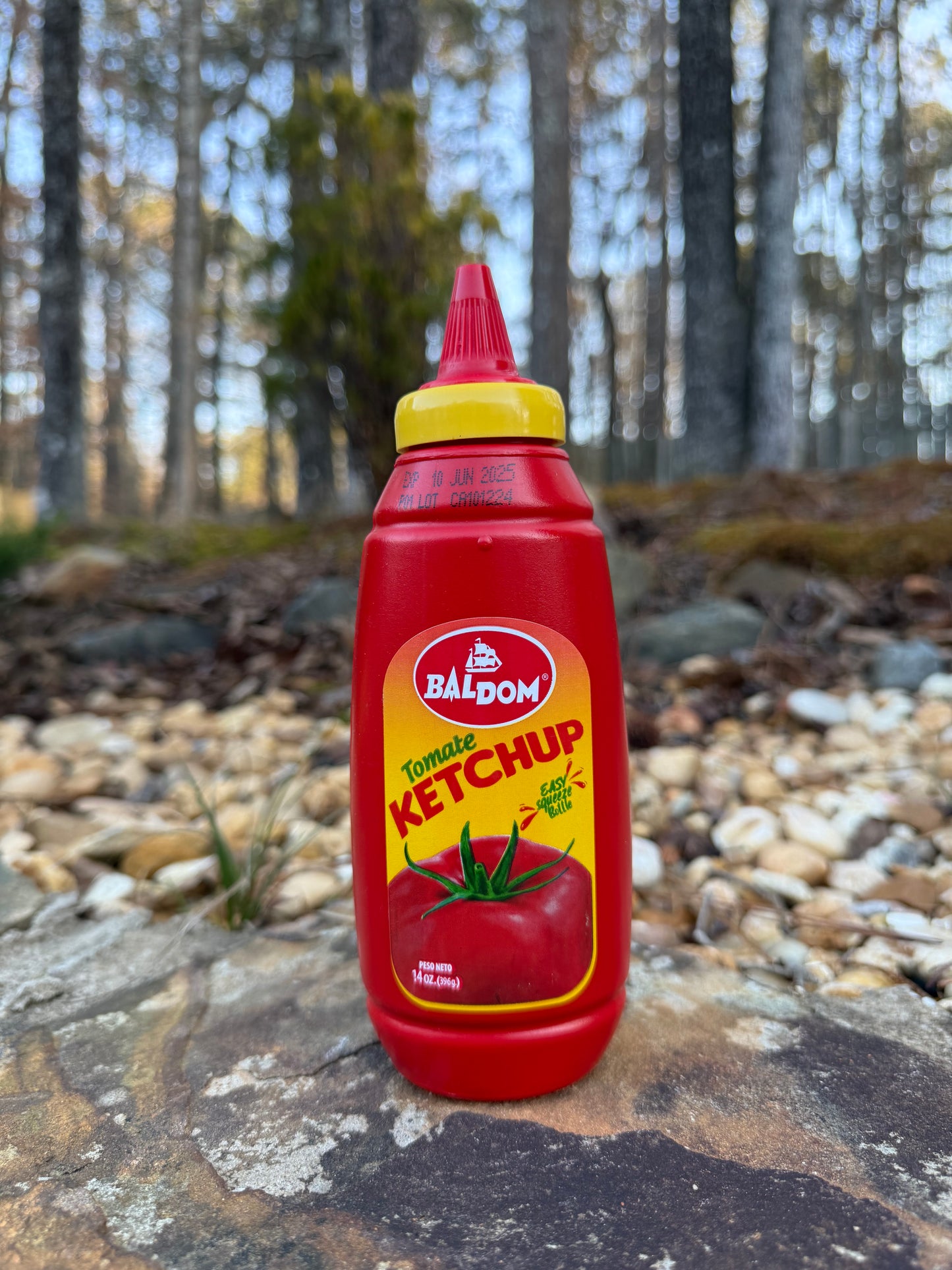 Ketchup Baldom 14OZ