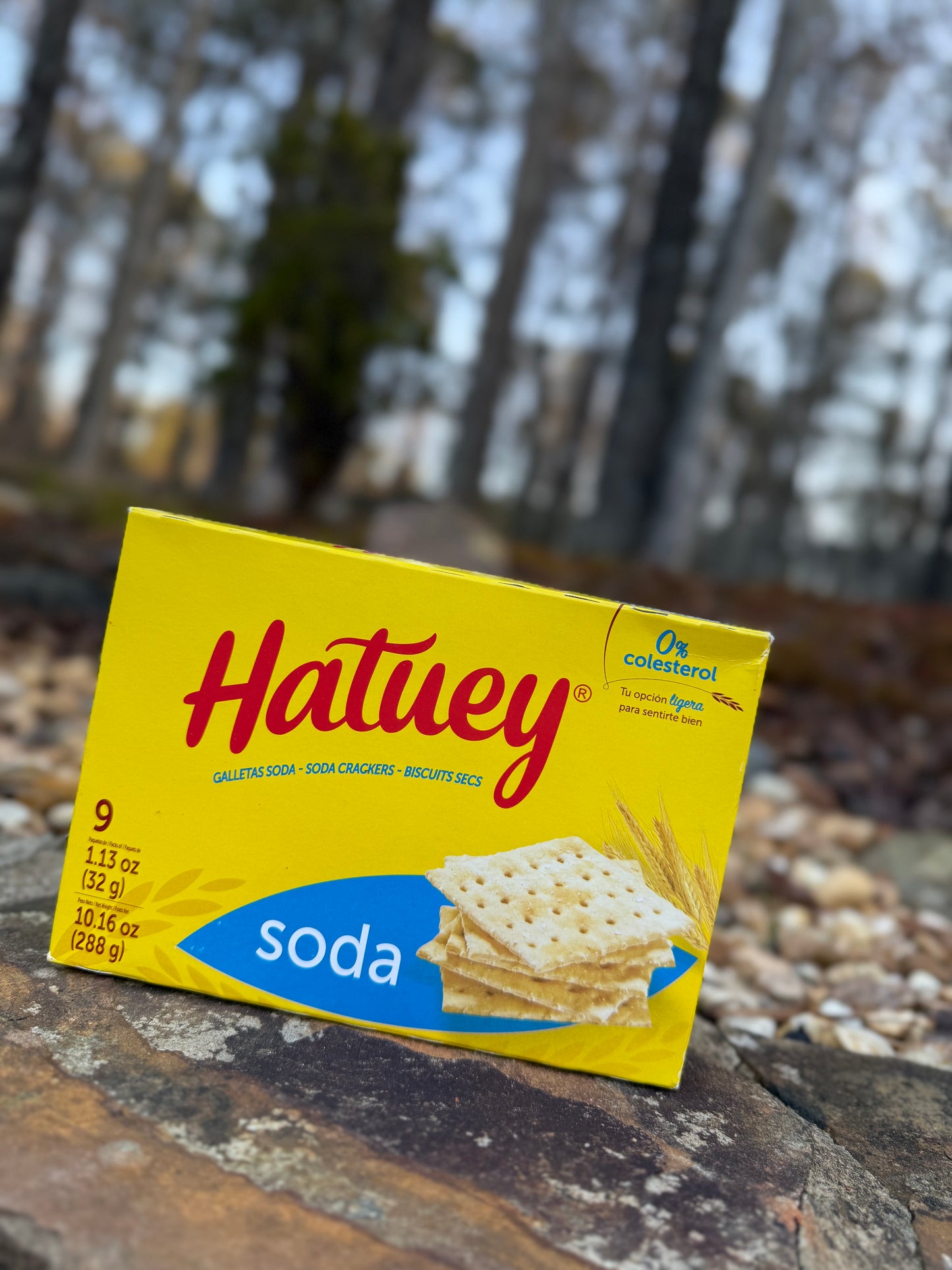 Galletica De Soda Hatuey 9Pack
