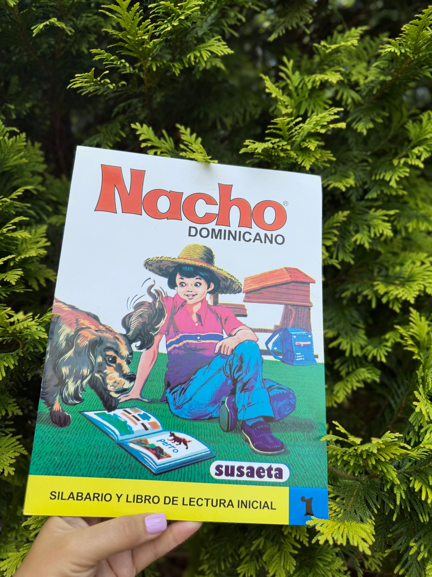 Libro Nacho