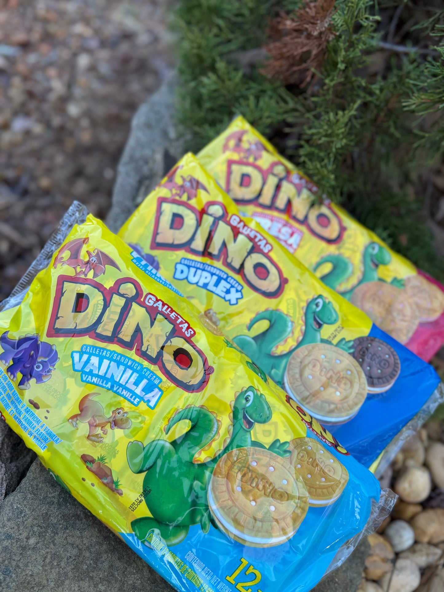 Galletica Dino 12 Pack