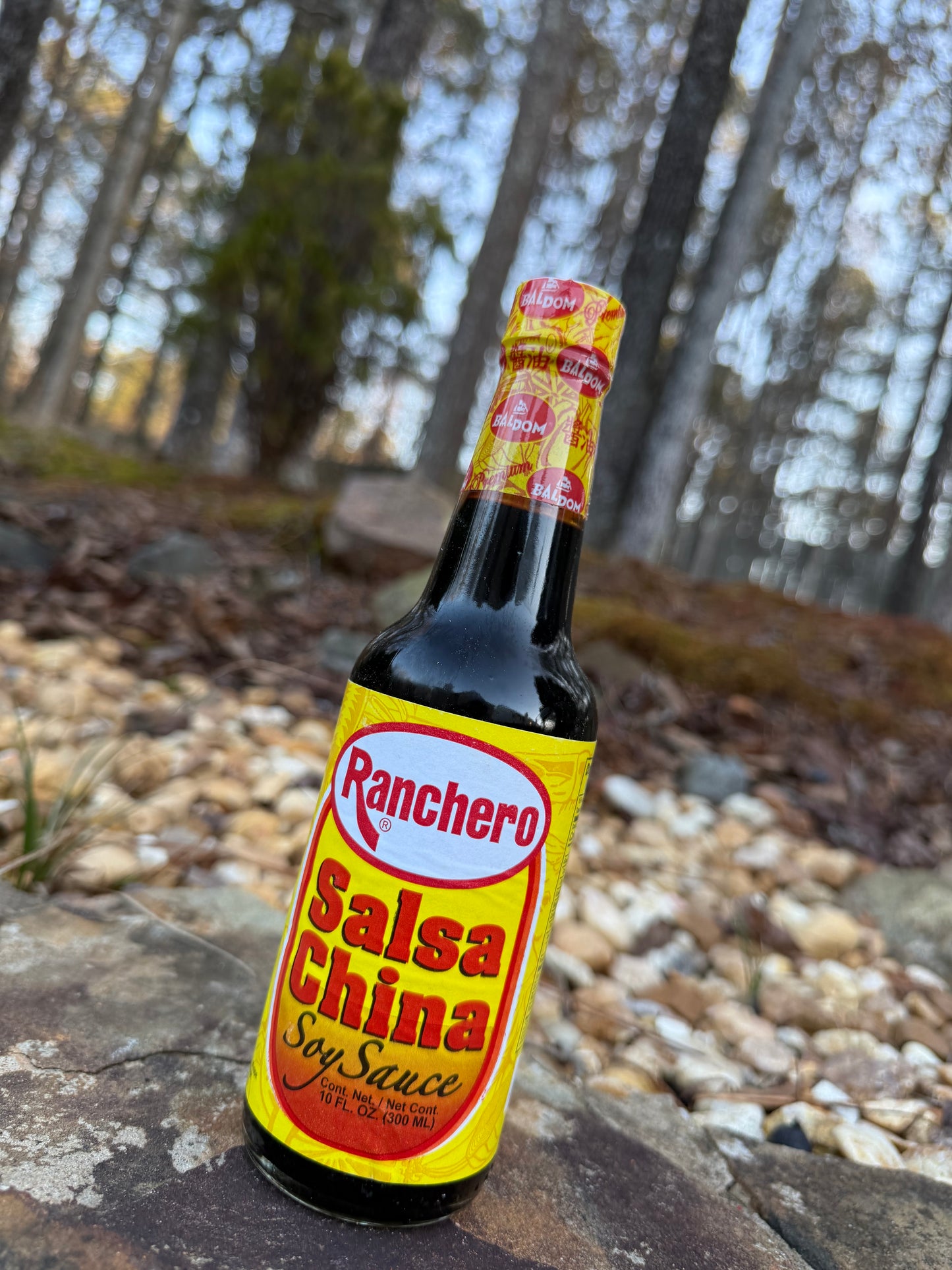 salsa China 10 OZ
