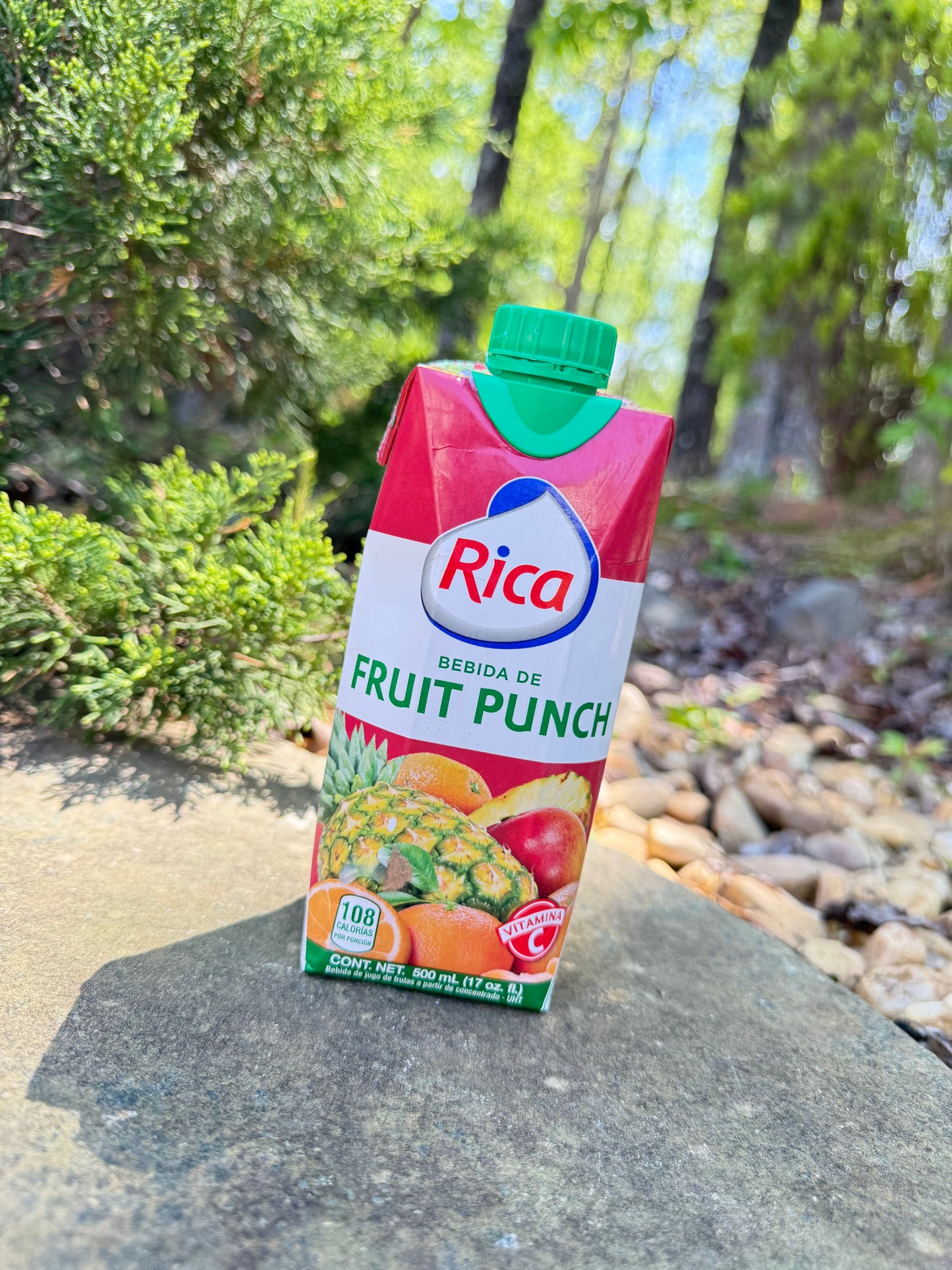 Jugo Rica Fruit Punch 17Oz